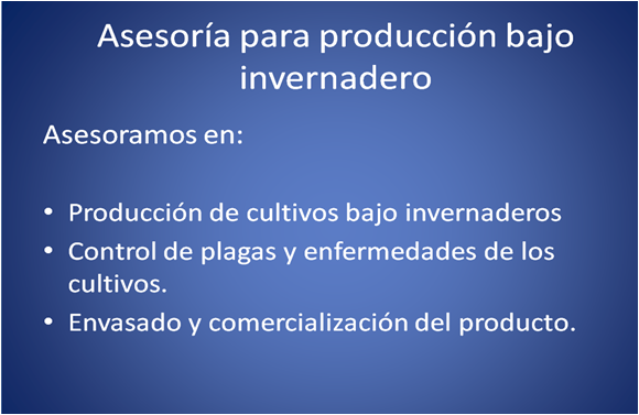 cipa proyectos