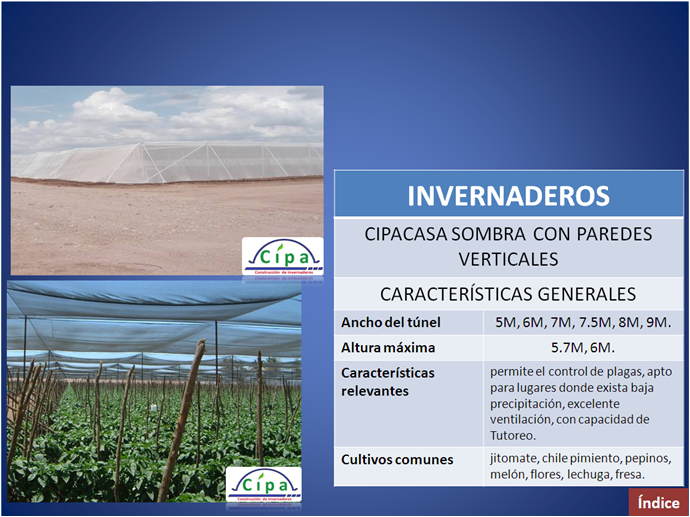 cipa invernaderos chiles