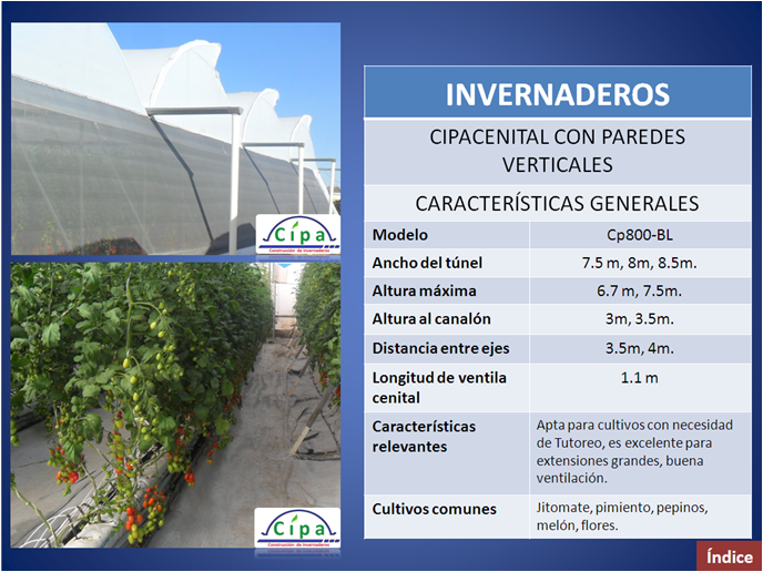 cipa jitomates 