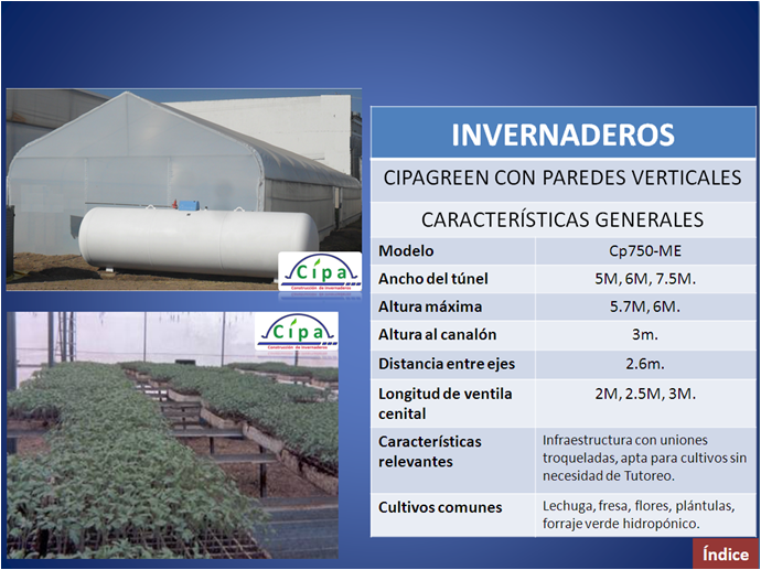 cipa plantulas